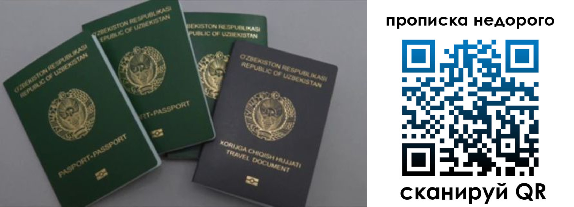 регистрация для школы в Димитровграде