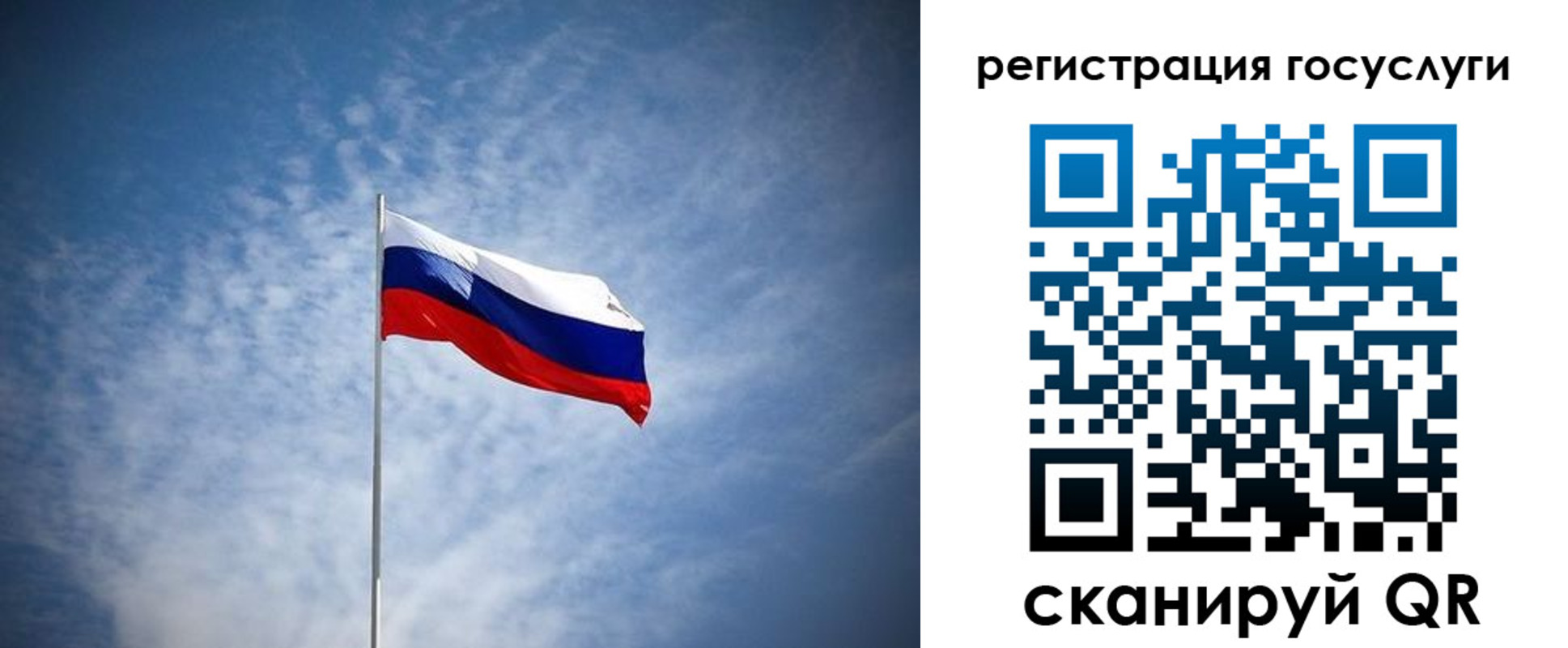 прописка паспорт в Димитровграде